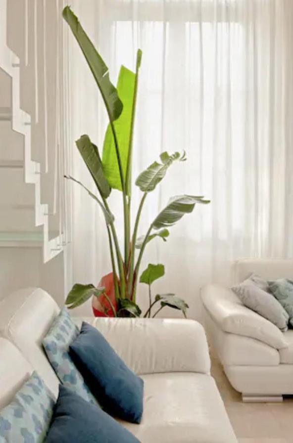 فيلا Amazing Sea View Flat تيرّينْيا المظهر الخارجي الصورة